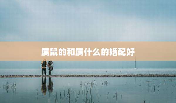 属鼠的和属什么的婚配好