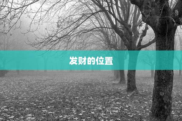 发财的位置