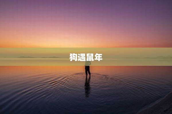 狗遇鼠年