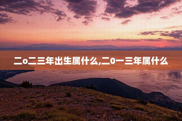 二o二三年出生属什么,二0一三年属什么