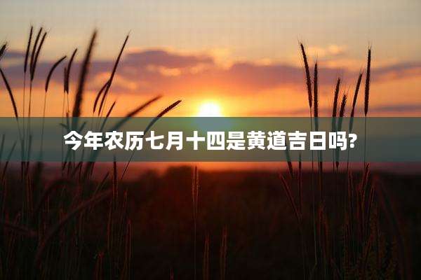 今年农历七月十四是黄道吉日吗?