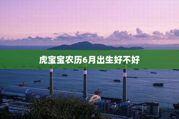 虎宝宝农历6月出生好不好