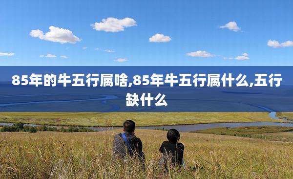85年的牛五行属啥,85年牛五行属什么,五行缺什么