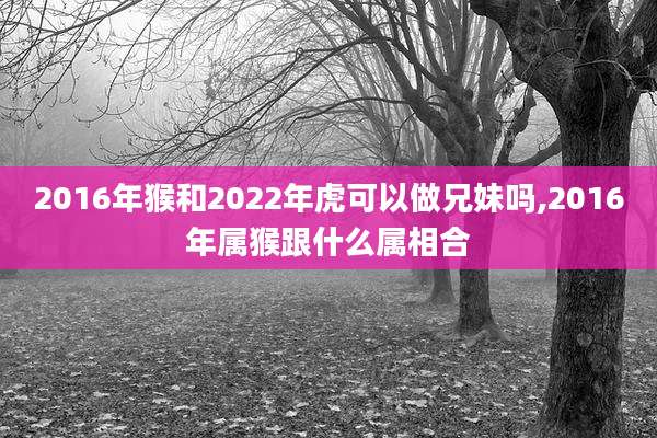 2016年猴和2022年虎可以做兄妹吗,2016年属猴跟什么属相合