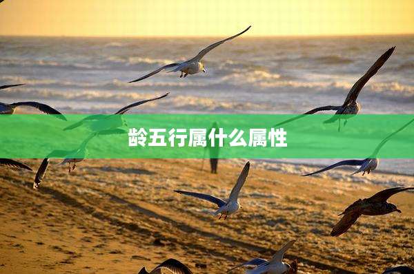 龄五行属什么属性