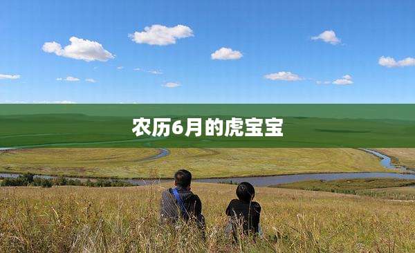 农历6月的虎宝宝