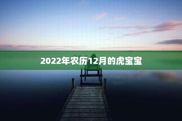 2022年农历12月的虎宝宝