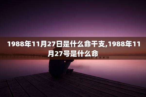 1988年11月27日是什么命干支,1988年11月27号是什么命