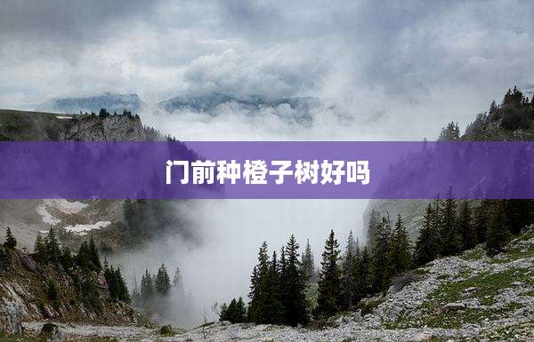 门前种橙子树好吗