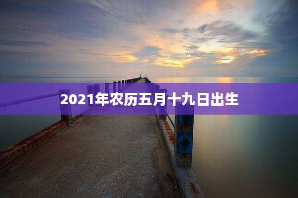 2021年农历五月十九日出生