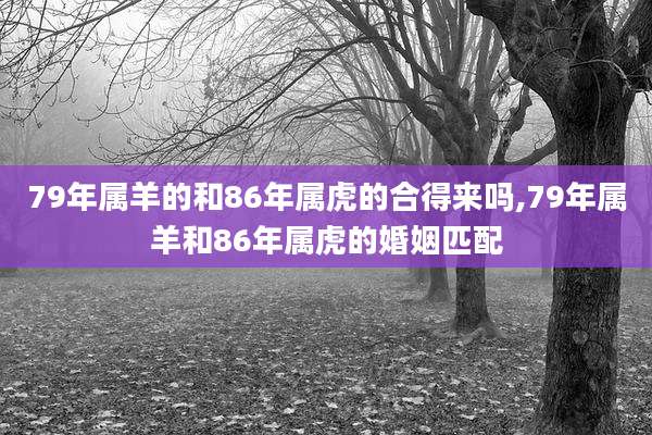 79年属羊的和86年属虎的合得来吗,79年属羊和86年属虎的婚姻匹配
