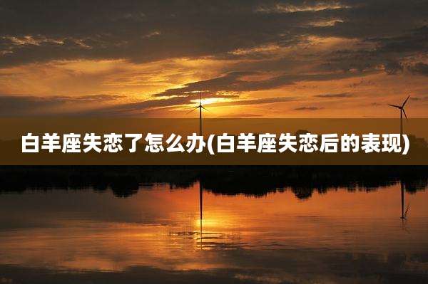 白羊座失恋了怎么办(白羊座失恋后的表现)