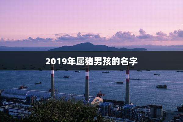 2019年属猪男孩的名字