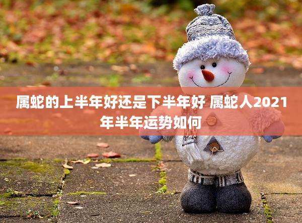 属蛇的上半年好还是下半年好 属蛇人2021年半年运势如何