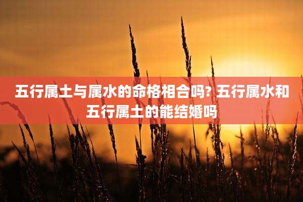 五行属土与属水的命格相合吗? 五行属水和五行属土的能结婚吗