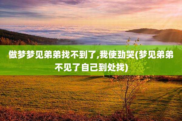 做梦梦见弟弟找不到了,我使劲哭(梦见弟弟不见了自己到处找)