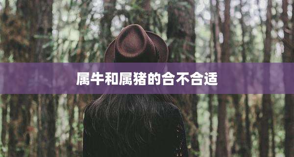 属牛和属猪的合不合适