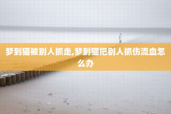 梦到猫被别人抓走,梦到猫把别人抓伤流血怎么办