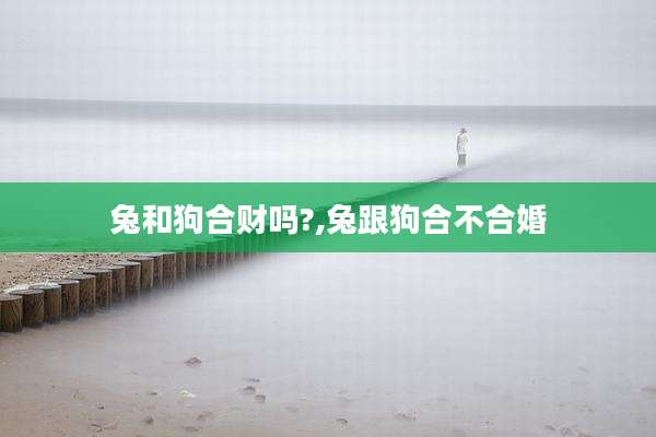 兔和狗合财吗?,兔跟狗合不合婚