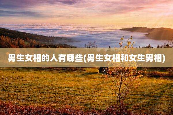 男生女相的人有哪些(男生女相和女生男相)