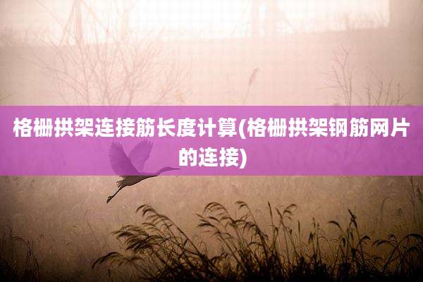 格栅拱架连接筋长度计算(格栅拱架钢筋网片的连接)