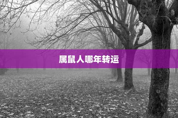 属鼠人哪年转运