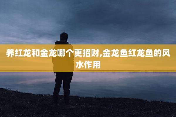 养红龙和金龙哪个更招财,金龙鱼红龙鱼的风水作用
