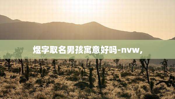 煜字取名男孩寓意好吗-nvw,