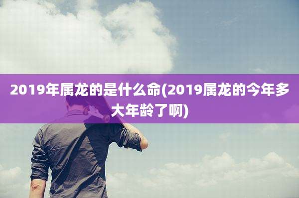 2019年属龙的是什么命(2019属龙的今年多大年龄了啊)