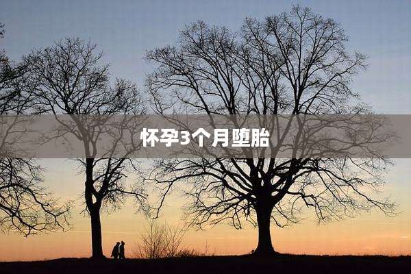 怀孕3个月堕胎