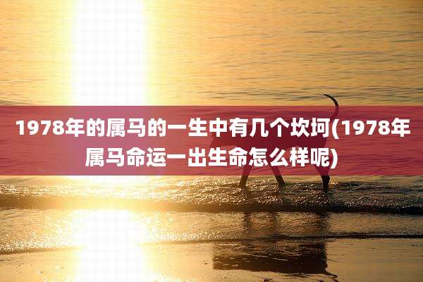 1978年的属马的一生中有几个坎坷(1978年属马命运一出生命怎么样呢)