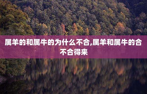 属羊的和属牛的为什么不合,属羊和属牛的合不合得来