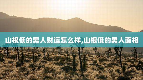 山根低的男人财运怎么样,山根低的男人面相