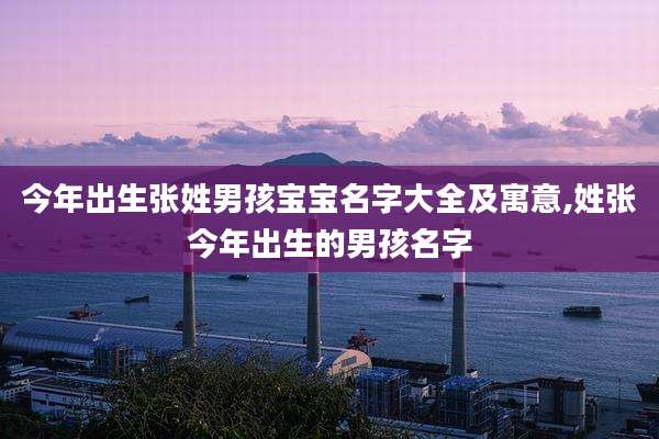 今年出生张姓男孩宝宝名字大全及寓意,姓张今年出生的男孩名字