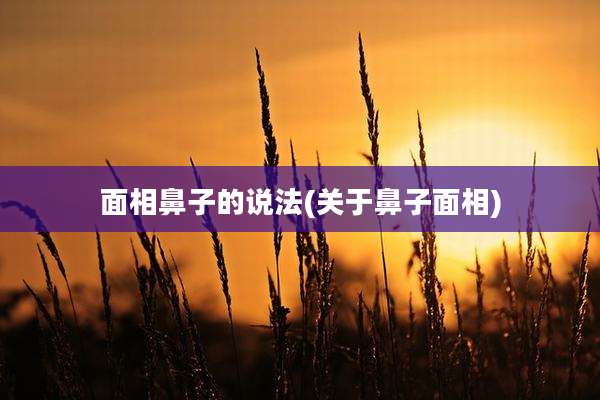 面相鼻子的说法(关于鼻子面相)