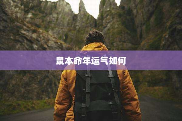 鼠本命年运气如何