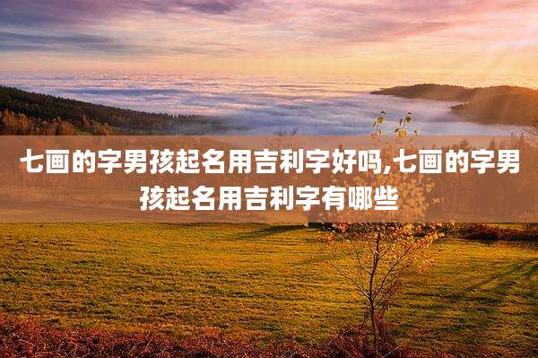 七画的字男孩起名用吉利字好吗,七画的字男孩起名用吉利字有哪些