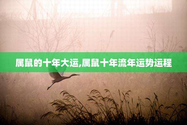 属鼠的十年大运,属鼠十年流年运势运程