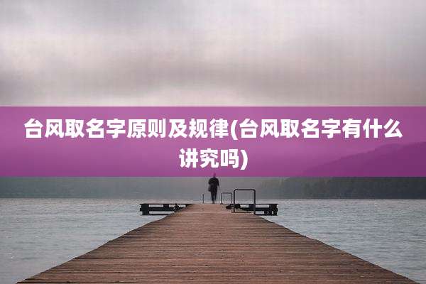 台风取名字原则及规律(台风取名字有什么讲究吗)