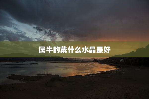 属牛的戴什么水晶最好