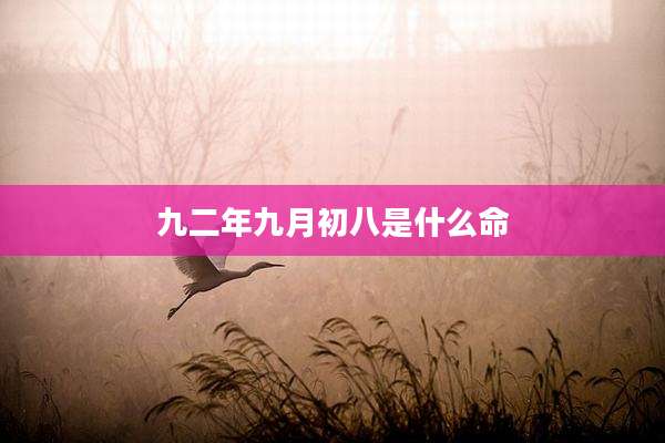 九二年九月初八是什么命