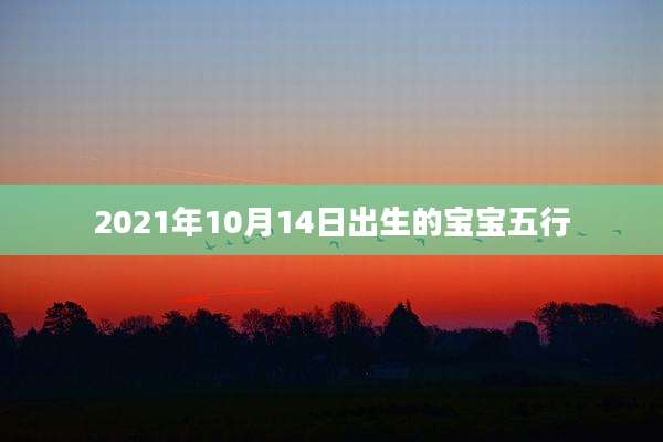 2021年10月14日出生的宝宝五行