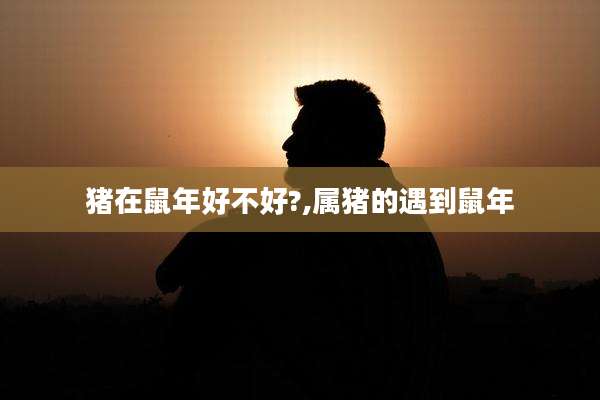 猪在鼠年好不好?,属猪的遇到鼠年