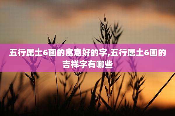 五行属土6画的寓意好的字,五行属土6画的吉祥字有哪些
