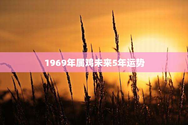 1969年属鸡未来5年运势