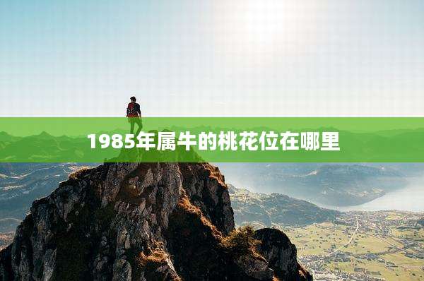 1985年属牛的桃花位在哪里