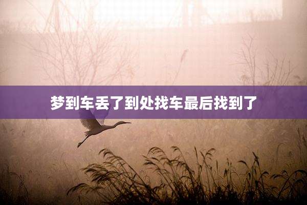 梦到车丢了到处找车最后找到了