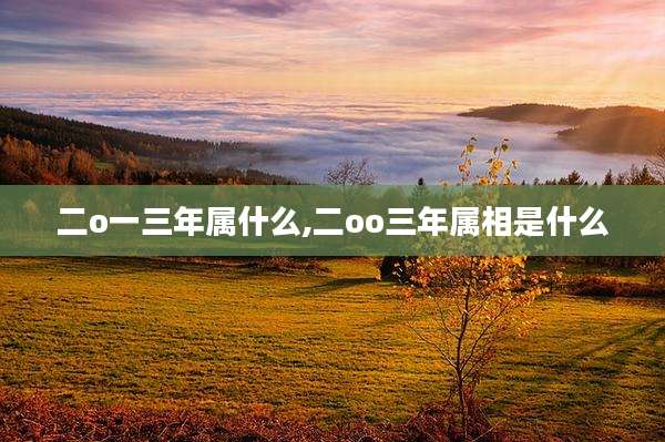 二o一三年属什么,二oo三年属相是什么