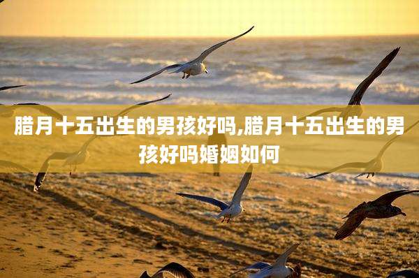 腊月十五出生的男孩好吗,腊月十五出生的男孩好吗婚姻如何
