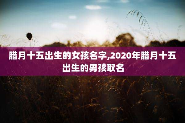 腊月十五出生的女孩名字,2020年腊月十五出生的男孩取名